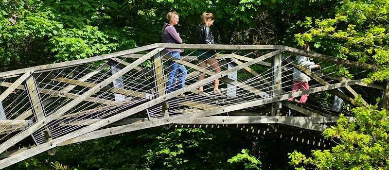 Wightwick Manor Mathematical Bridge